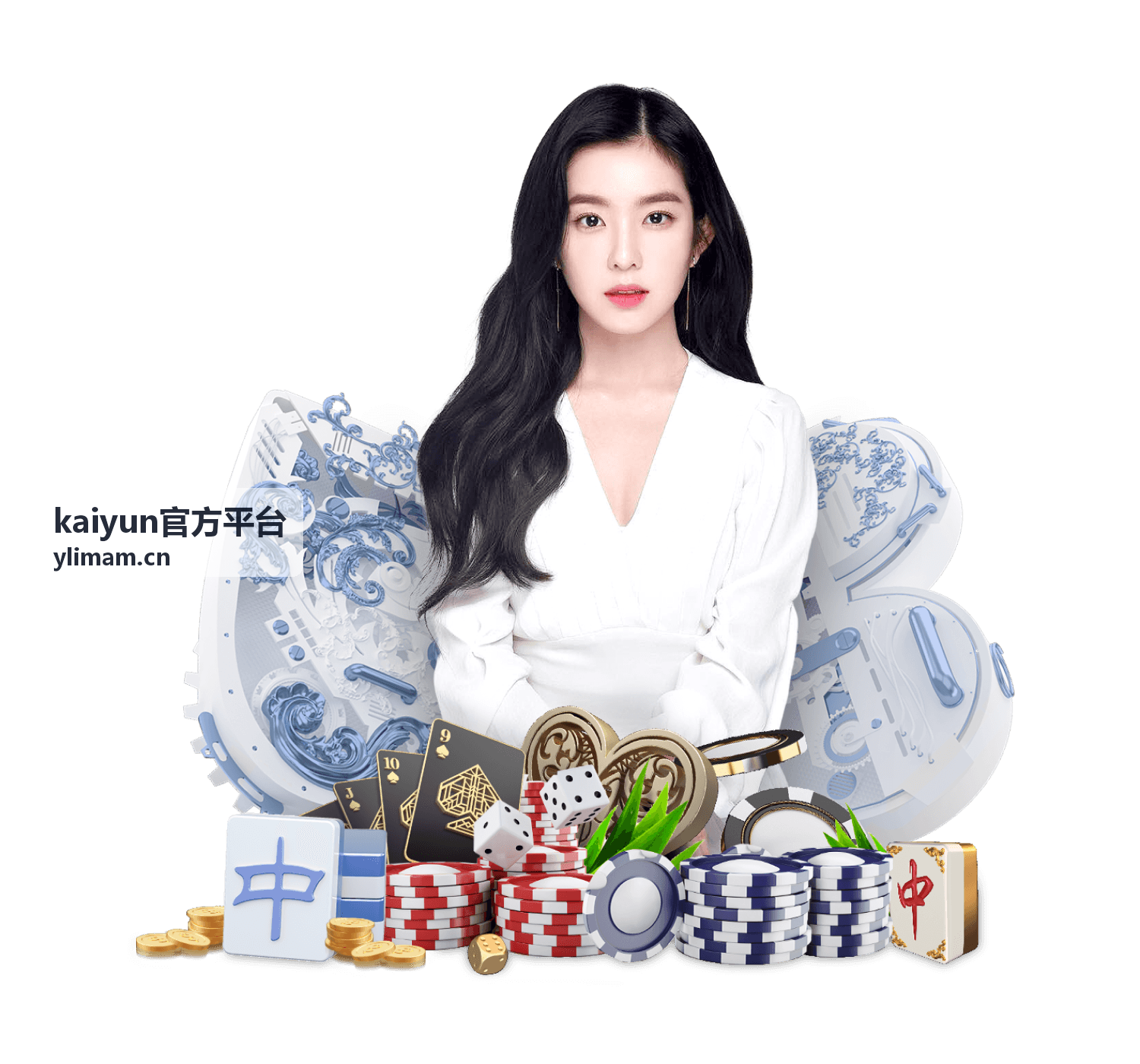 kaiyun官方平台成员角色与权限分配界面