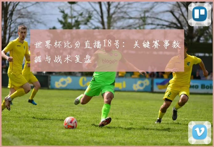 世界杯比分直播18号：关键赛事数据与战术复盘